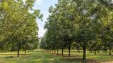 6604 Pine Island Road - Photo 14