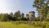 6604 Pine Island Road - Photo 24