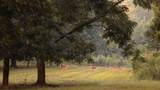 6604 Pine Island Road - Photo 26