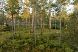 6604 Pine Island Road - Photo 46