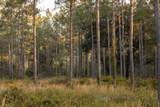 6604 Pine Island Road - Photo 80