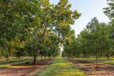 6604 Pine Island Road - Photo 84