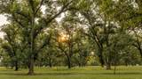 175 Pecan Road - Photo 11