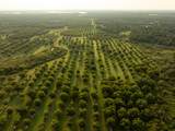 175 Pecan Road - Photo 13