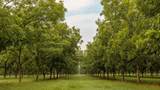 175 Pecan Road - Photo 19