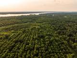 175 Pecan Road - Photo 26
