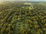 175 Pecan Road - Photo 29