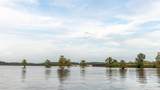 175 Pecan Road - Photo 41