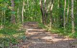 1050 Blue Springs Road - Photo 49