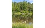 1050 Blue Springs Road - Photo 50