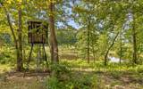 1050 Blue Springs Road - Photo 52