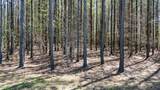 4670 Raulston Falls Road - Photo 48