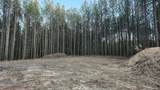 4670 Raulston Falls Road - Photo 52