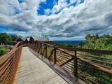 4670 Raulston Falls Road - Photo 67