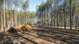 4670 Raulston Falls Road - Photo 8