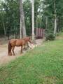 103 Stooping Oak Road - Photo 11