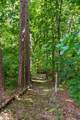 40 Dusty Ridge Trail - Photo 30
