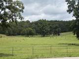 697 Newt Johnson Road - Photo 5