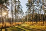 9700 Old Magnolia Road - Photo 10