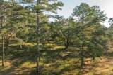 9700 Old Magnolia Road - Photo 14
