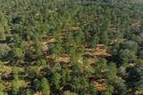 9700 Old Magnolia Road - Photo 17