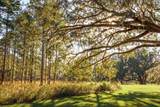 9700 Old Magnolia Road - Photo 82