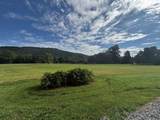 4915 Sweetens Cove Road - Photo 16