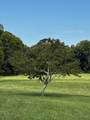4915 Sweetens Cove Road - Photo 17