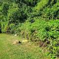 3109 07th Avenue - Photo 5