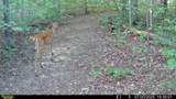 7636 Ooltewah Georgetown Road - Photo 154