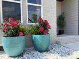 8369 Snowdrop Way - Photo 3