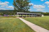 208 Incline Street - Photo 71