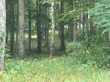 0 Turkey Trl Trail - Photo 15