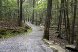 0 Turkey Trl Trail - Photo 20