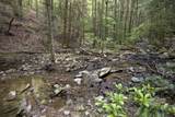 0 Turkey Trl Trail - Photo 21