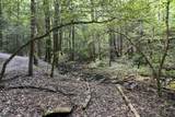 0 Turkey Trl Trail - Photo 23