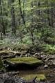 0 Turkey Trl Trail - Photo 24