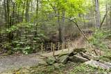 0 Turkey Trl Trail - Photo 33
