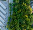 917 Dallas Road - Photo 9