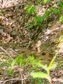 0-337 Waterwheel Way - Photo 16