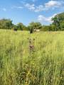 214 County Road 67 - Photo 4
