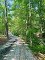 0-Lot 3 Still Creek Road - Photo 8