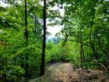 127+/- Riddle Road - Photo 10