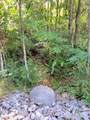 127+/- Riddle Road - Photo 15