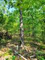 127+/- Riddle Road - Photo 4