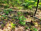 127+/- Riddle Road - Photo 5