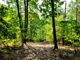 127+/- Riddle Road - Photo 6