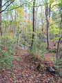 9842 County Road 91 - Photo 11