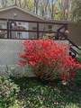 9842 County Road 91 - Photo 3