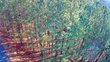 0 Black Bear Ridge Road - Photo 8